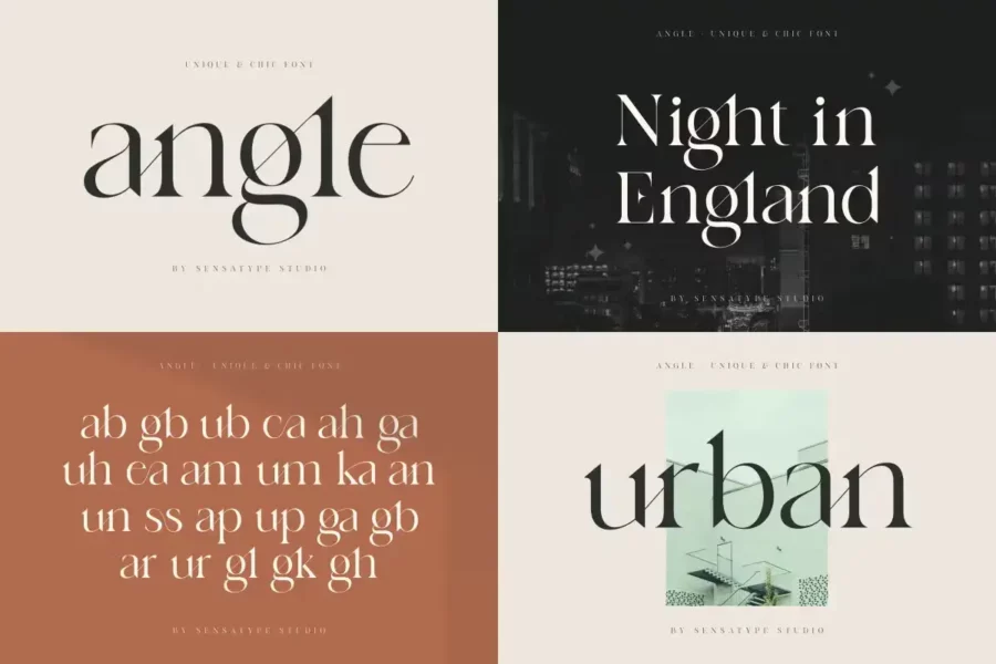 Unique and Classy Modern Font Bundle - Image 8