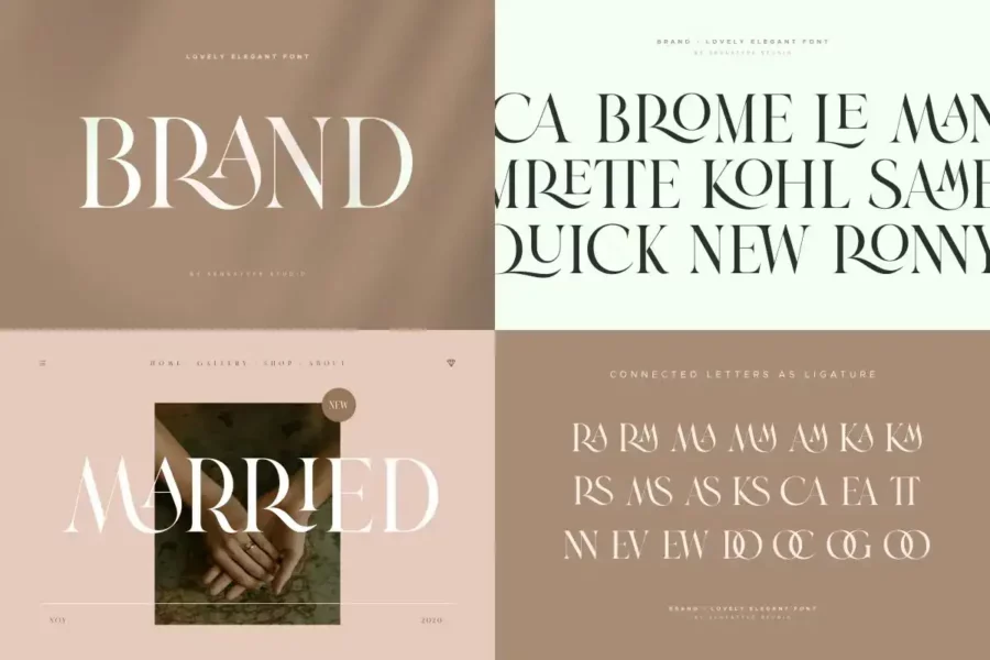 Unique and Classy Modern Font Bundle - Image 9