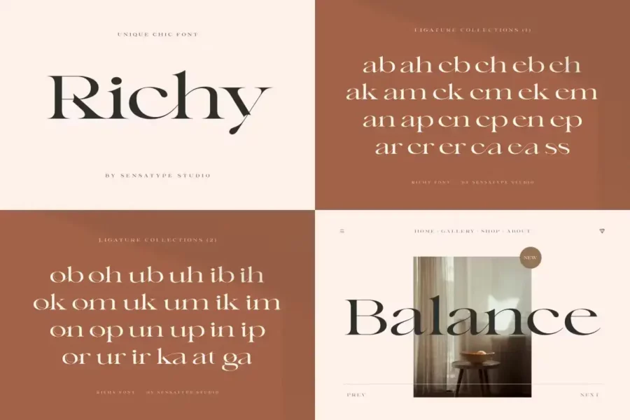 Unique and Classy Modern Font Bundle - Image 2