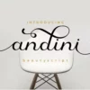 Beauty Flourish Font Bundles