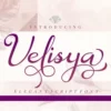 Beauty Flourish Font Bundles