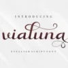 Beauty Flourish Font Bundles