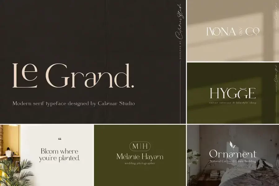 The Sans & Serif Font Bundle - Image 8