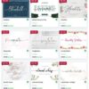 Designer Choice - Font Bundle