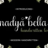 Wonderful Bundle Font Script