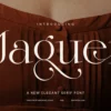 Jaguer Stylish Serif Font