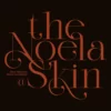 Jaguer Stylish Serif Font